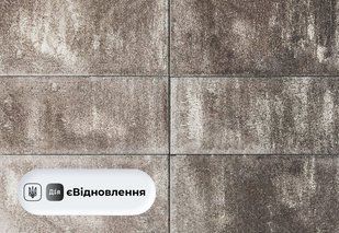 Тротуарна плитка Мегаполіс 60 Даллас СТ202412535 фото